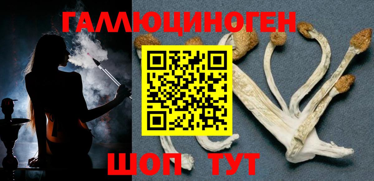 Галлюциногенные грибы GOLDEN TEACHER Калуга
